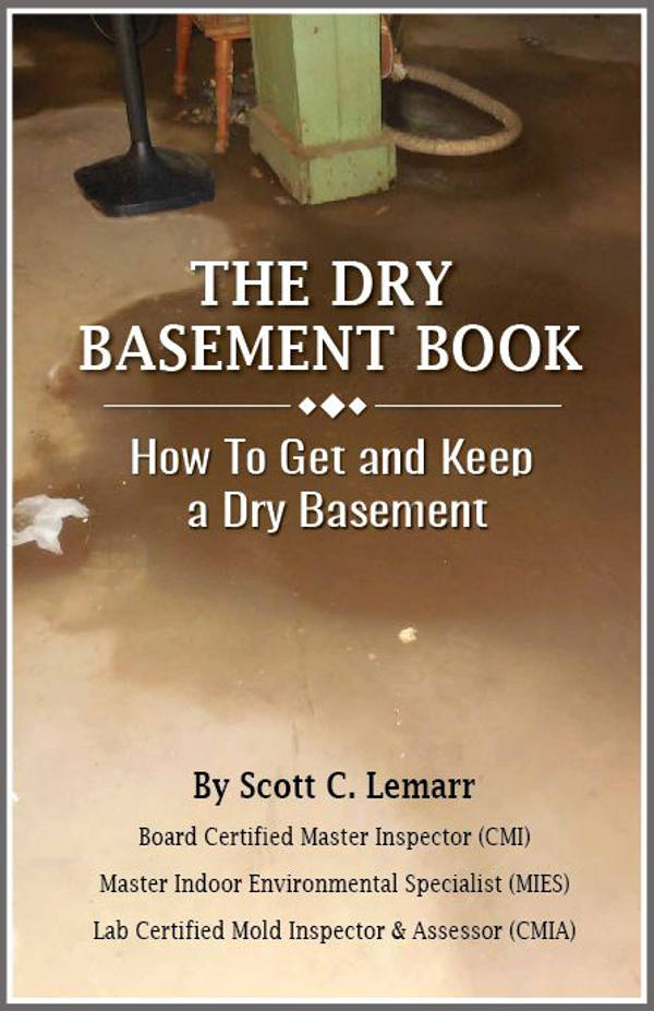Coming in Spring 2018 Cover of The Dry Basement Book